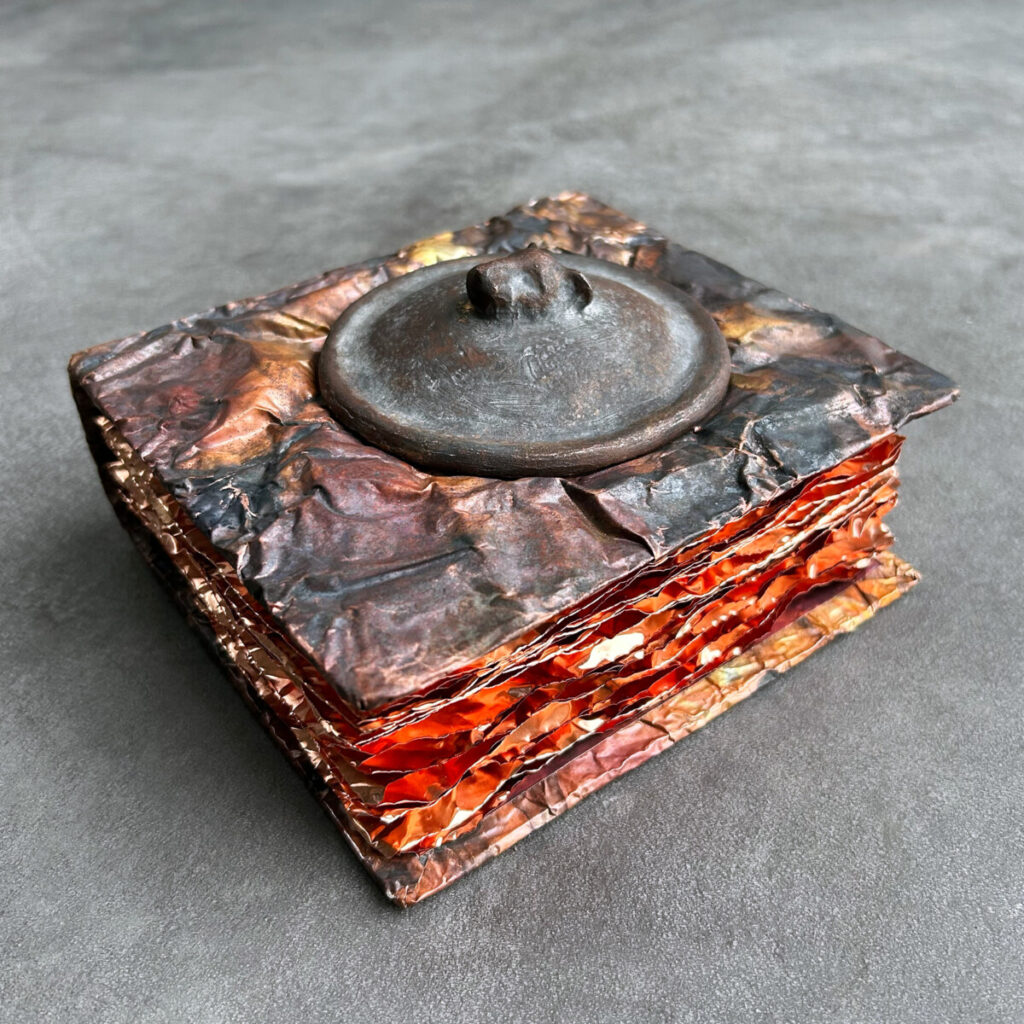 Felines and Other Magical Creatures lying flat at an angle, the cast-bronze medallion set into the patinated copper cover
