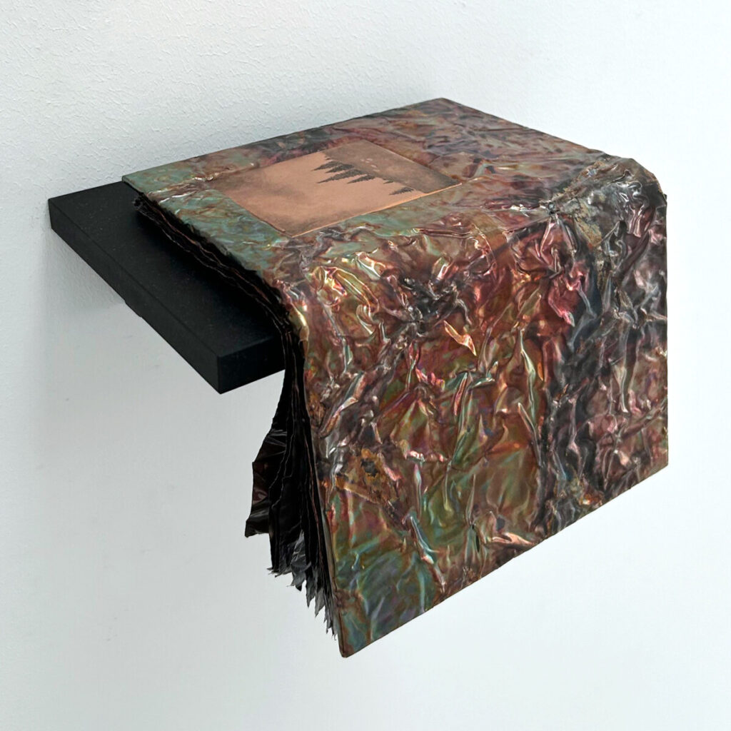 Guide to the Wilderness, a patinated copper artist's book draped over a black wall shelf, its cover set with a drypoint plate by Gunnar Norrman