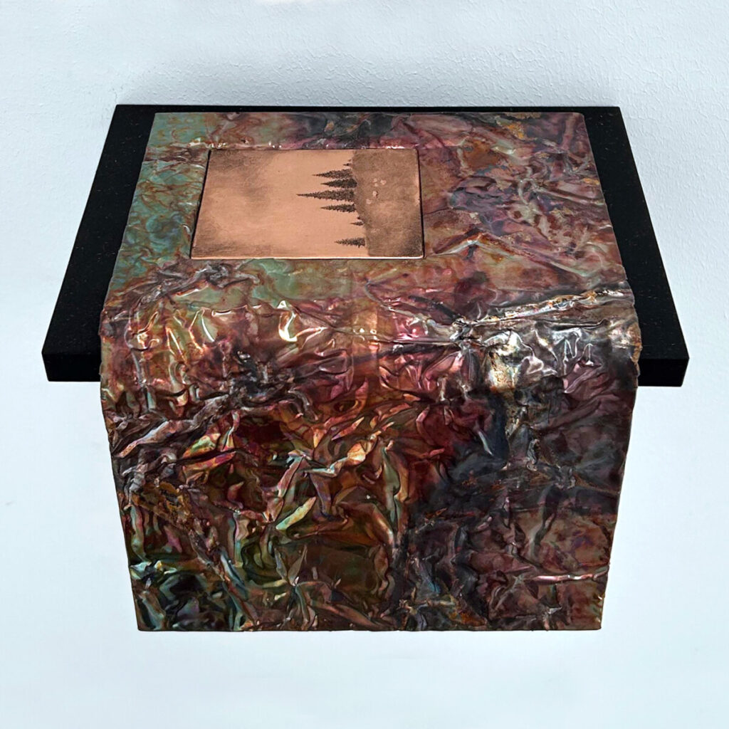 Guide to the Wilderness, a patinated copper artist's book draped over a black wall shelf, its cover set with a drypoint plate by Gunnar Norrman, seen from above