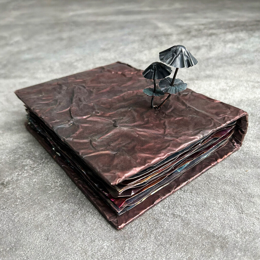 PhD Thesis: How to Manage Mushrooms resting on a concrete surface, copper mushrooms growing through the cover